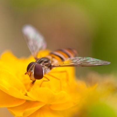 *健全垢です*本垢がえげつない故フォロー/ふぁぼできない時に使う用アカウント。本垢からこられた方はご配慮頂けると幸いです。健全垢でのフォローは歓迎します、無言フォローすみません。推しが尊すぎてたまに発狂します。好き→クラシック音楽/短歌/きのこ/変な生き物/習字