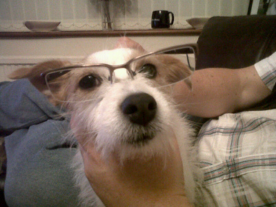 KingYamel's profile picture. 