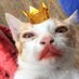 Derpeh (@derpeeh) Twitter profile photo Derpeh (@derpeeh) Twitter profile photo