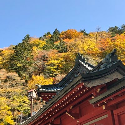 melbmelody's profile picture. 