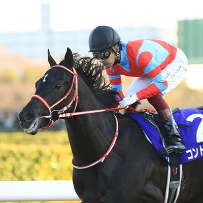 5C02DbkPXBOgkr4's profile picture. ウマ娘、競馬専用。お馬さん大好きです！ フォロワー募集中です！無言フォローしたりします。ごめんなさい🥺ウマ娘はスズカ推しです！#JRA #日本中央競馬会 #URA #ウマ娘 #ウマ娘プリティーダービー #サイレンススズカ #スペシャルウィーク #トウカイテイオー #ぱかチューブっ