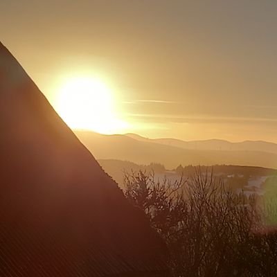 EMusselle's profile picture. 