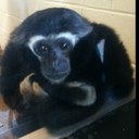 James  Roach - @Roachie2 - Twitter