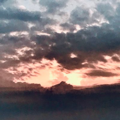 jv31111119's profile picture. 