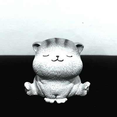 arya_zp's profile picture. 