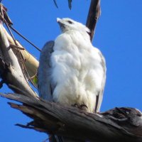 ratherbe (@ratherbe_elswr) 's Twitter Profile