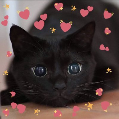:)さんのプロフィール画像