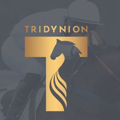 Tridynion @ Yorton is the formation of the Potter/Futter/Stanners families to source & produce quality NH young stock to be successful in the ring & on track🐎