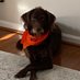 Suzanne (@mickeysmom15) Twitter profile photo Suzanne (@mickeysmom15) Twitter profile photo