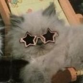 можете называть меня олежа.さんのプロフィール画像