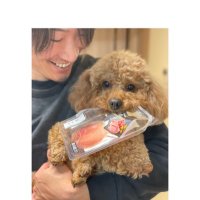 弁護士ばやし(若林翔) (@_devilsadvocate) 's Twitter Profile