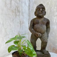 Bali NFT enthusiast (@bali_enthusiast) 's Twitter Profile