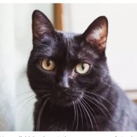 Tones (@tones24649888) 's Twitter Profile Photo