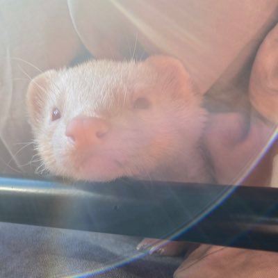 jMpm5M7mgWasj's profile picture. 更新遅いです