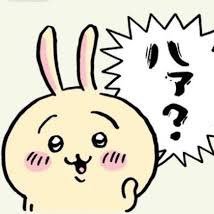 takahashi_study's profile picture. CPA25.3〜