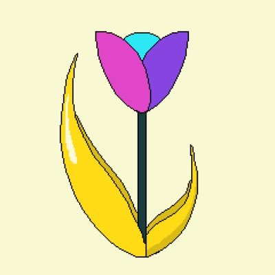 Solana Tulip Fields | Minting Now