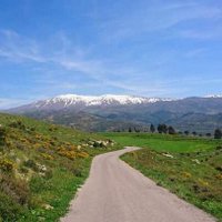 Raghida Anwar (@raghidaanwar) 's Twitter Profile