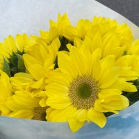 め<"る楽屋花/フラスタ企画 (@kasaken_flower) 's Twitter Profile Photo め<"る楽屋花/フラスタ企画 (@kasaken_flower) 's Twitter Profile Photo