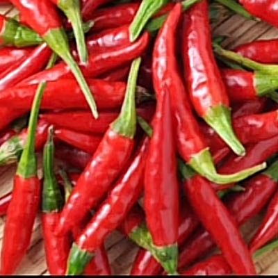 0OYwT7In1K0JSvW's profile picture. 