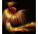 FChapeiro's profile image