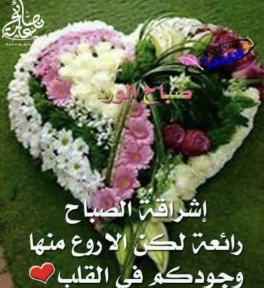 13amadel's profile picture. 