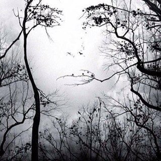 HeatherRyan5's profile picture. 