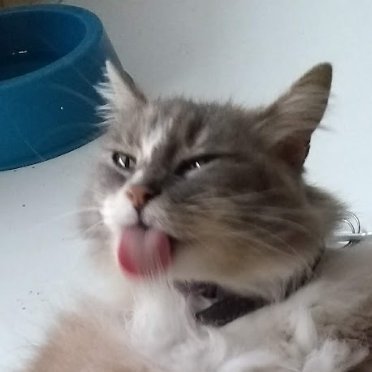 agoszz's profile picture. and after all, you're my Van der Waals.
Química. de bioinorgánica a medicinal. docente.
Bioinorganic PhD slowly turning into a medicinal chemist. teacher.