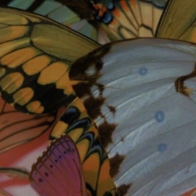 becauseimnother's profile picture. 