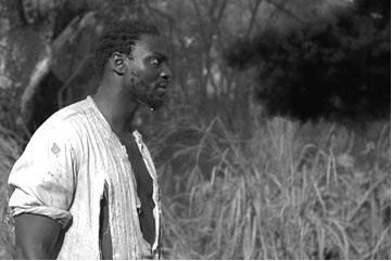 echostick's profile picture. 