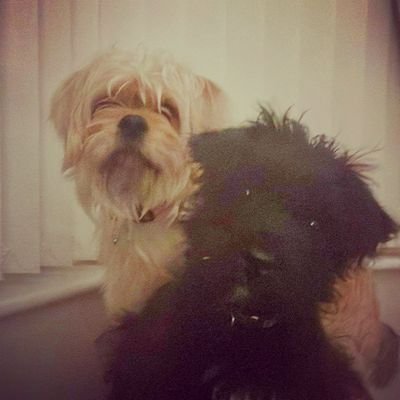 SkyNicki's profile picture. Will we ever learn......Nope!! Positive Vibes