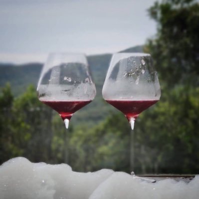 shirleyhall030's profile picture. ❤️