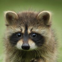 084 (@x084084084084x) 's Twitter Profile Photo