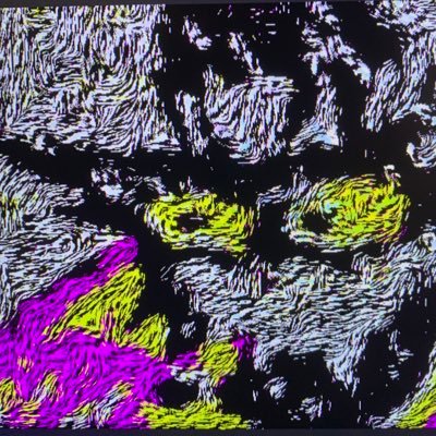 RyanRH777's profile picture. Gilbert Thethird 🕊️🙏