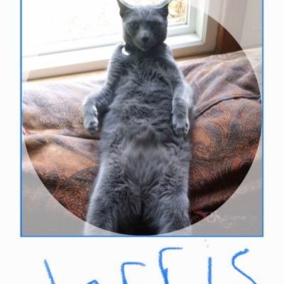 Willfightforfo3's profile picture. 