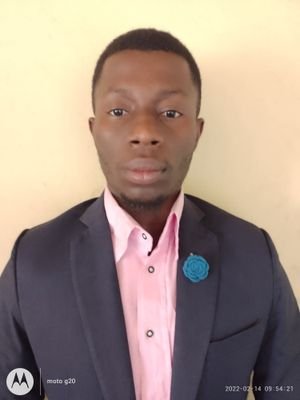 Data Analyst,Front End developer,web tester