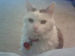 ispyafetus's profile picture. 