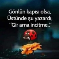 Emir EFE (@emirefeam3) Twitter profile photo