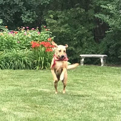 buscher_jacob's profile picture. 