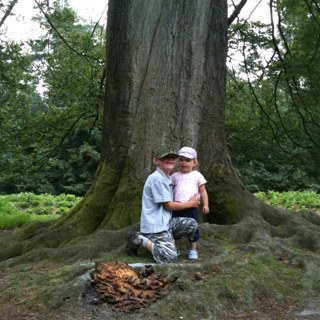 RID_dartyNL's profile picture. 