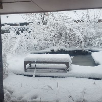 Sil3ntBob3rt's profile picture. Clinical Pharmacist