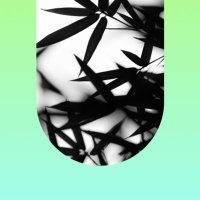 Contest (@contest) 's Twitter Profile