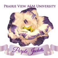 PV Purple Jackets 💜(@pv_purplejacket) 's Twitter Profile Photo