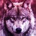 CO2_Dire_Wolf (@co2_dire_wolf) Twitter profile photo CO2_Dire_Wolf (@co2_dire_wolf) Twitter profile photo