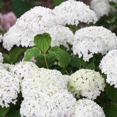 JCrp57082910's profile picture. 