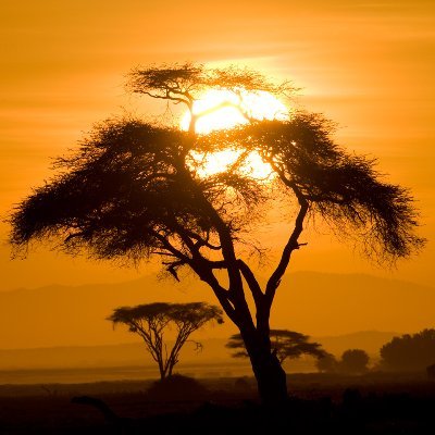 mohsen7srk's profile picture. Progressive Web Application & Hybrid Application Developer