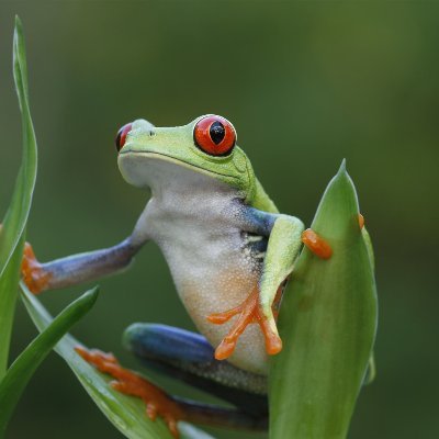 ScottTwisdale's profile picture. 