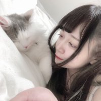 SHAKARIKI りぼん🎀 (@oadoll) 's Twitter Profile