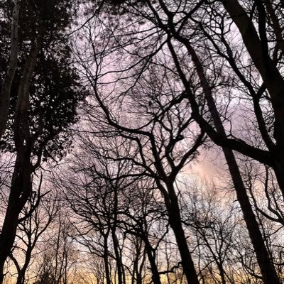 jsc180world's profile picture. 🫶🌳🐝🌎💣🗓 it’s not the size of the dog in the fight..