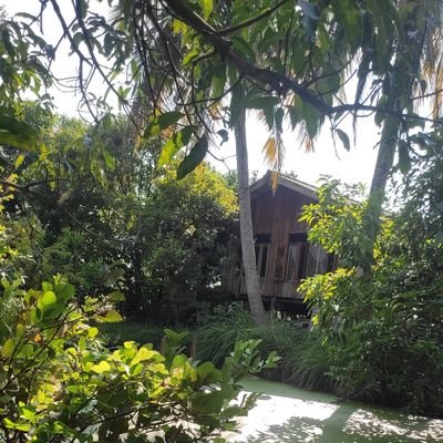 MaamSiranee's profile picture. 