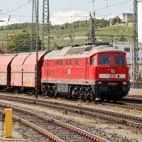 Raddreher 🏳️‍🌈 (@raddreher) Twitter profile photo